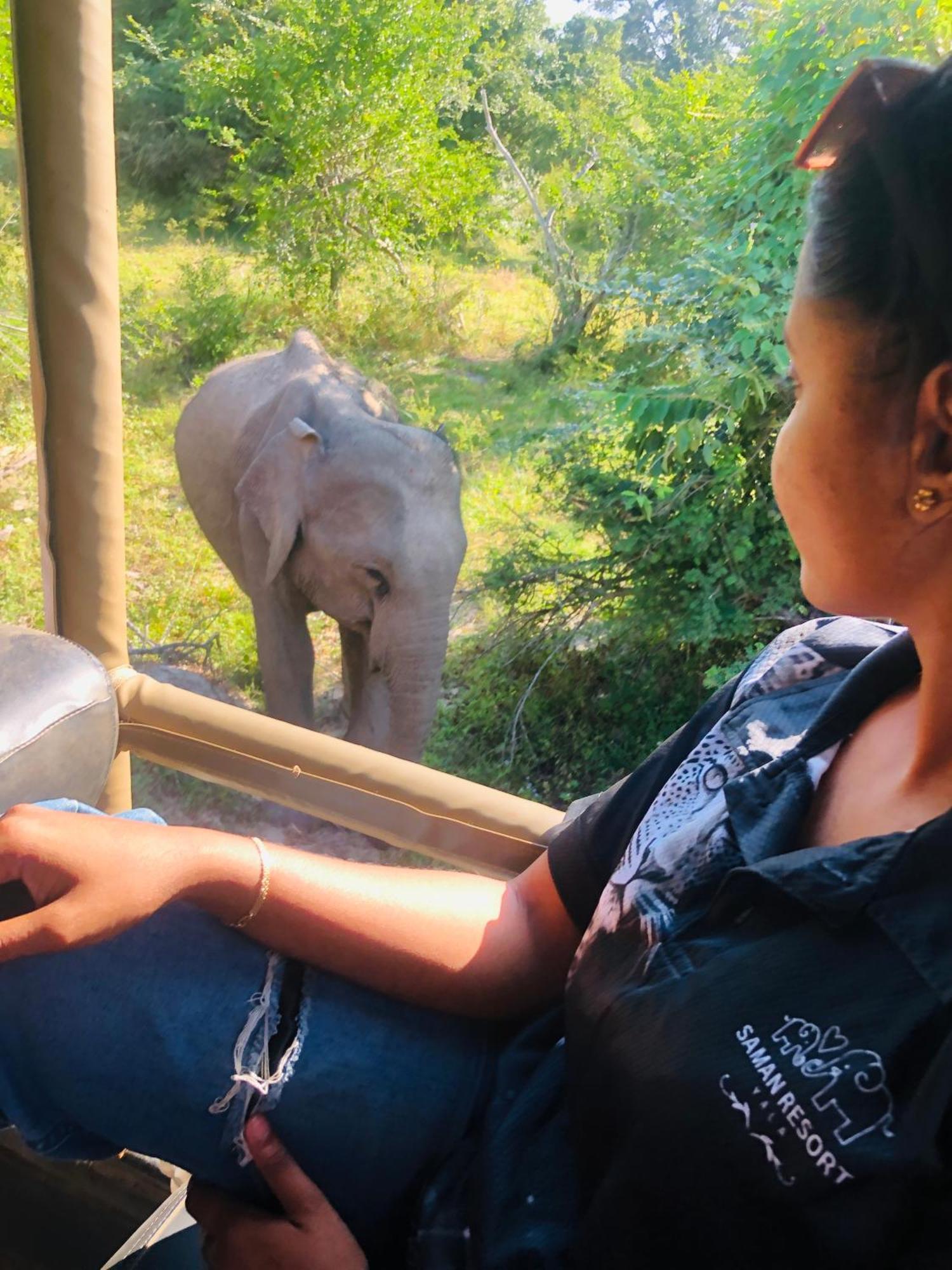 Saman Resort Yala Tissamaharama Eksteriør bilde