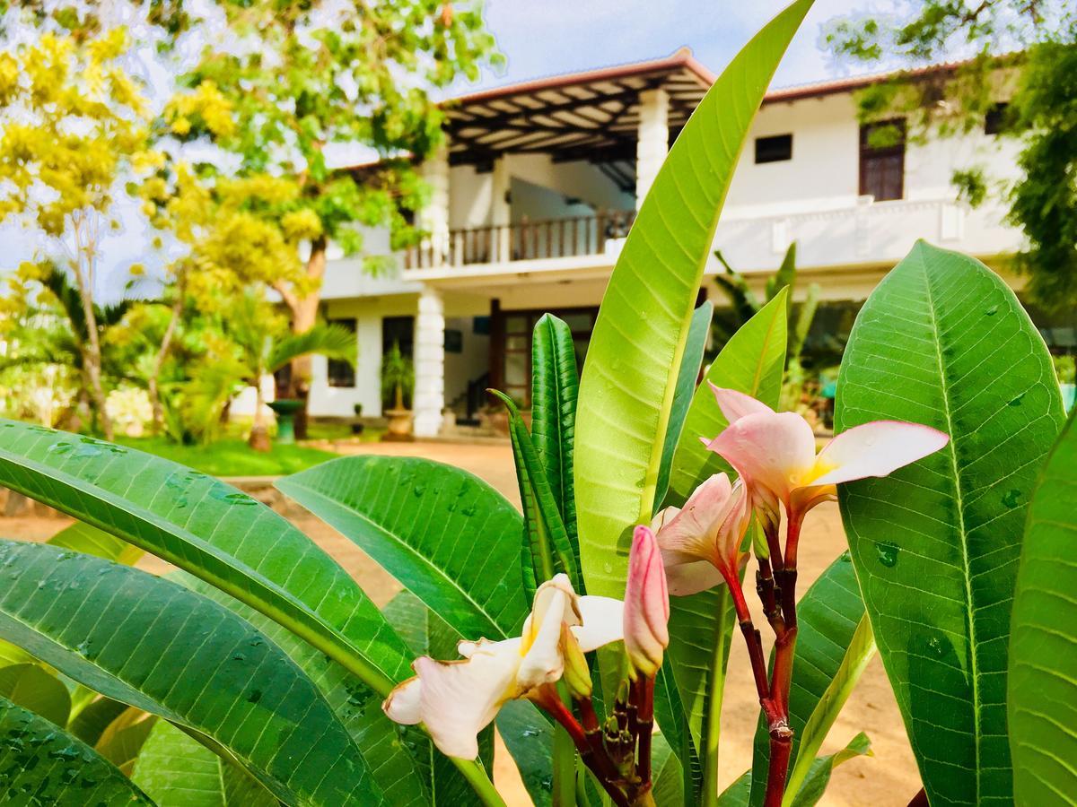 Saman Resort Yala Tissamaharama Eksteriør bilde